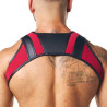 Sparta's Harness Harnais Pegasus Noir-Bordeaux